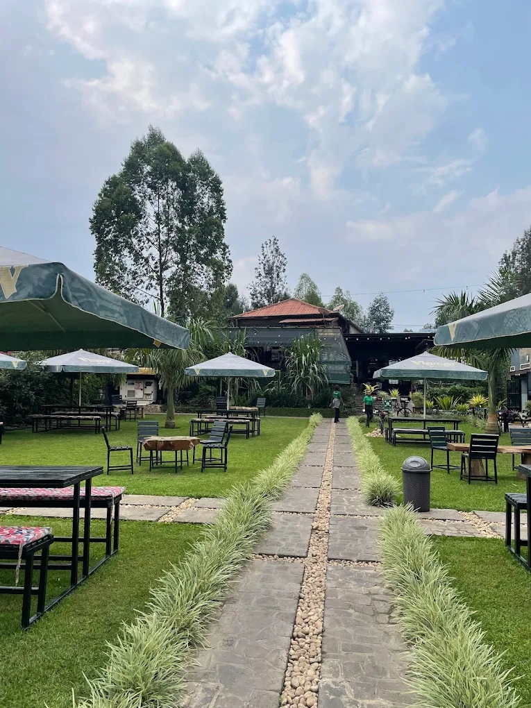Outdoor Garden